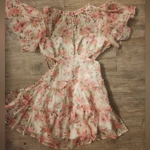 Floral Pink Sheer Ruffle Midi Dress - Picture 5 of 6